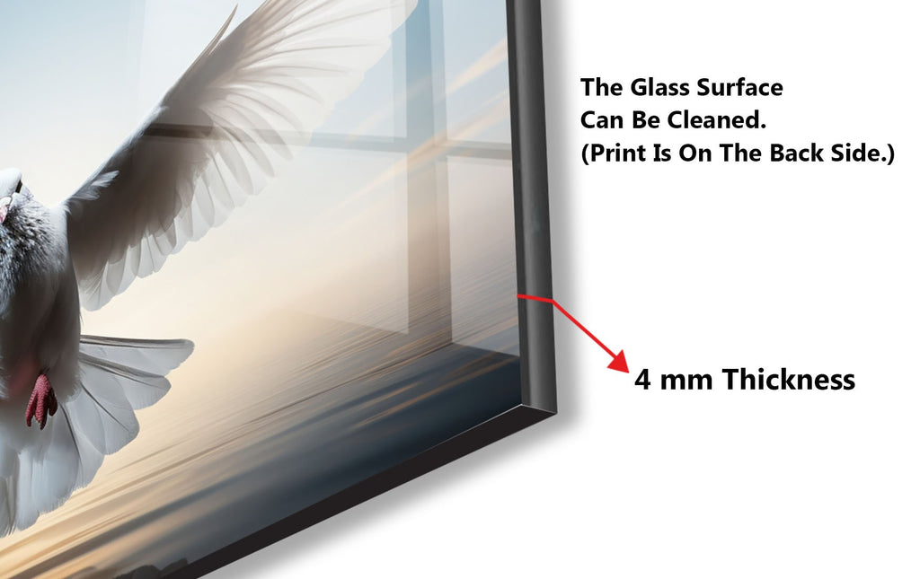 White Dove - Glass Kitchen Backsplash-BacksplashArtworks