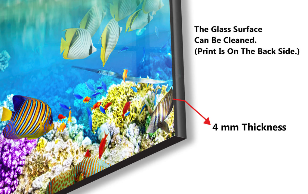 Vibrant Coral Reef Aquarium Glass Kitchen Backsplash – Tropical Fish Scene-BacksplashArtworks