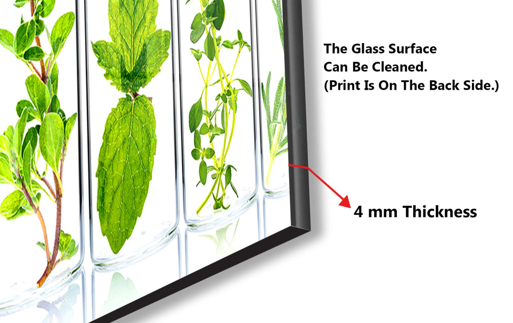 Herbal Essence – Glass Kitchen Backsplash-BacksplashArtworks