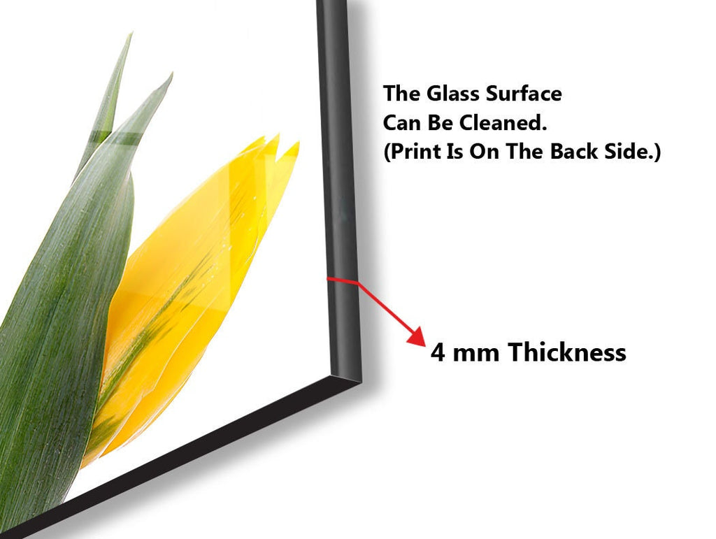 Botanical Floral Tempered Glass Backsplash-BacksplashArtworks