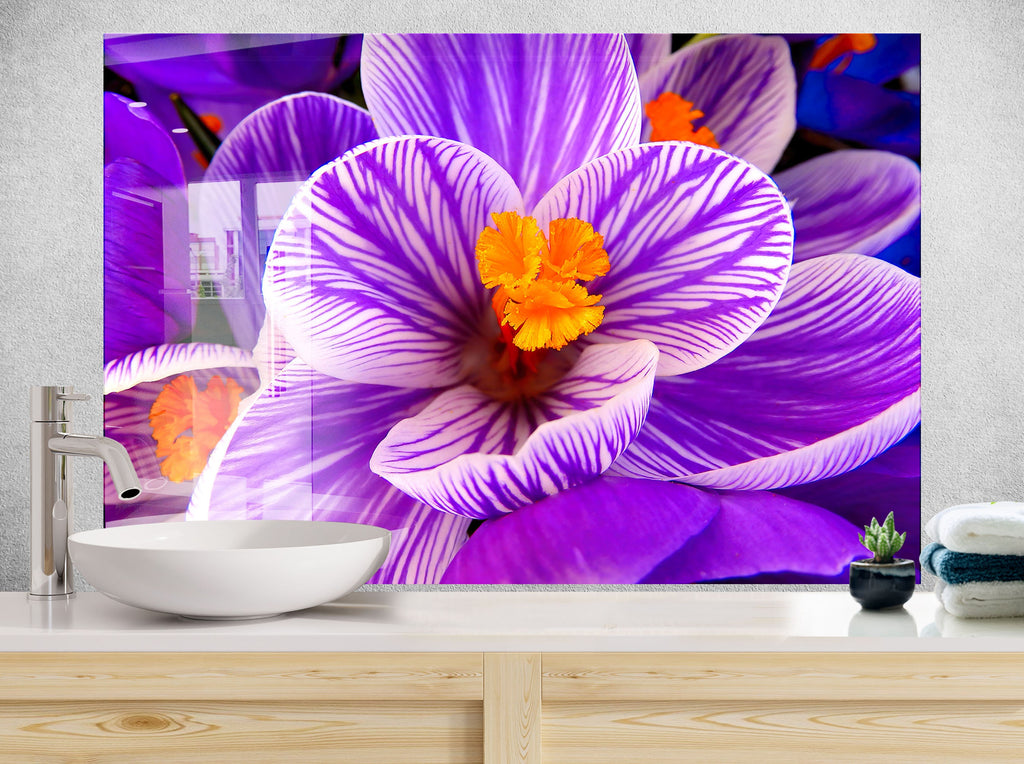 Crocus Vernus Tempered Glass Backsplash-BacksplashArtworks