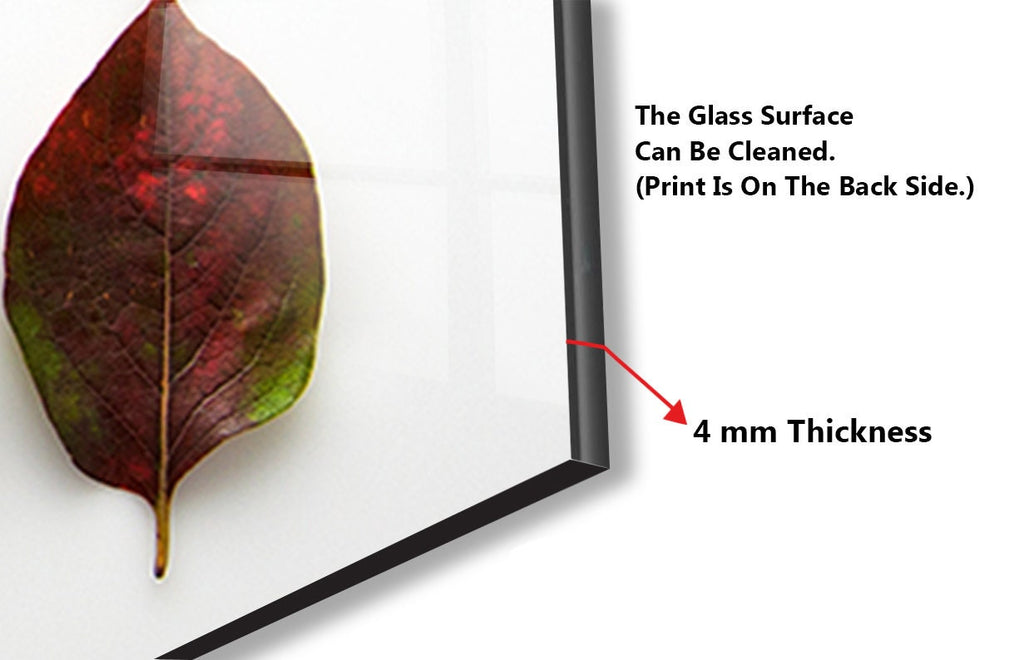 Leaves Tempered Glass Backsplash-BacksplashArtworks