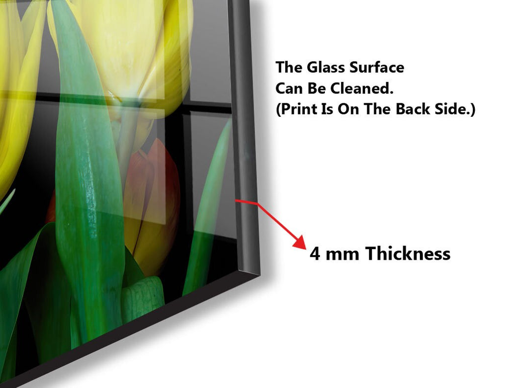 Tulip Tempered Glass Backsplash-BacksplashArtworks