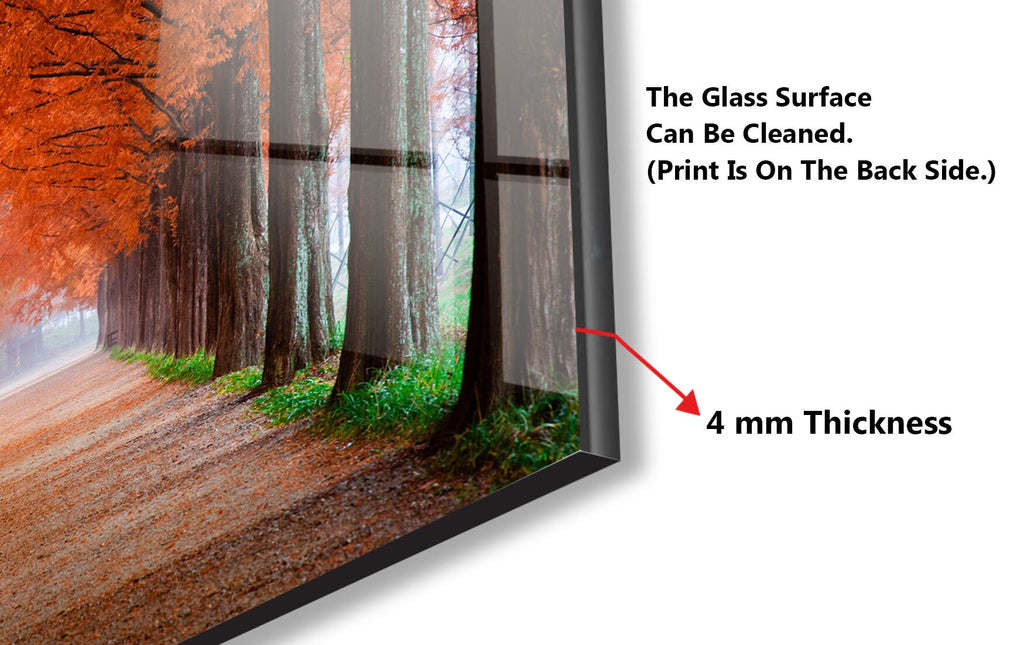 Autumn Forest Path - Glass Kitchen Backsplash-BacksplashArtworks