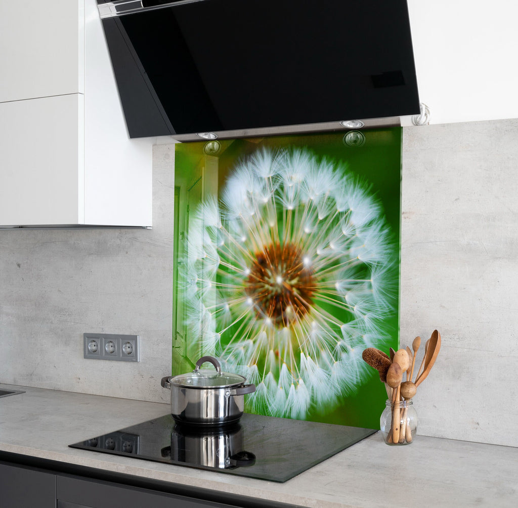 Dandelion Tempered Glass Backsplash-BacksplashArtworks