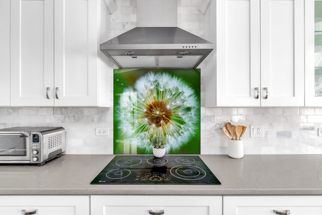 Dandelion Tempered Glass Backsplash-BacksplashArtworks