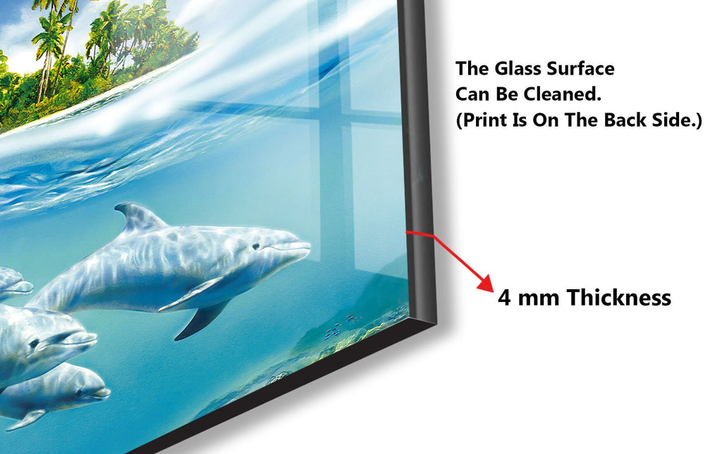 Tropical Dolphin Paradise – Glass Kitchen Backsplash-BacksplashArtworks