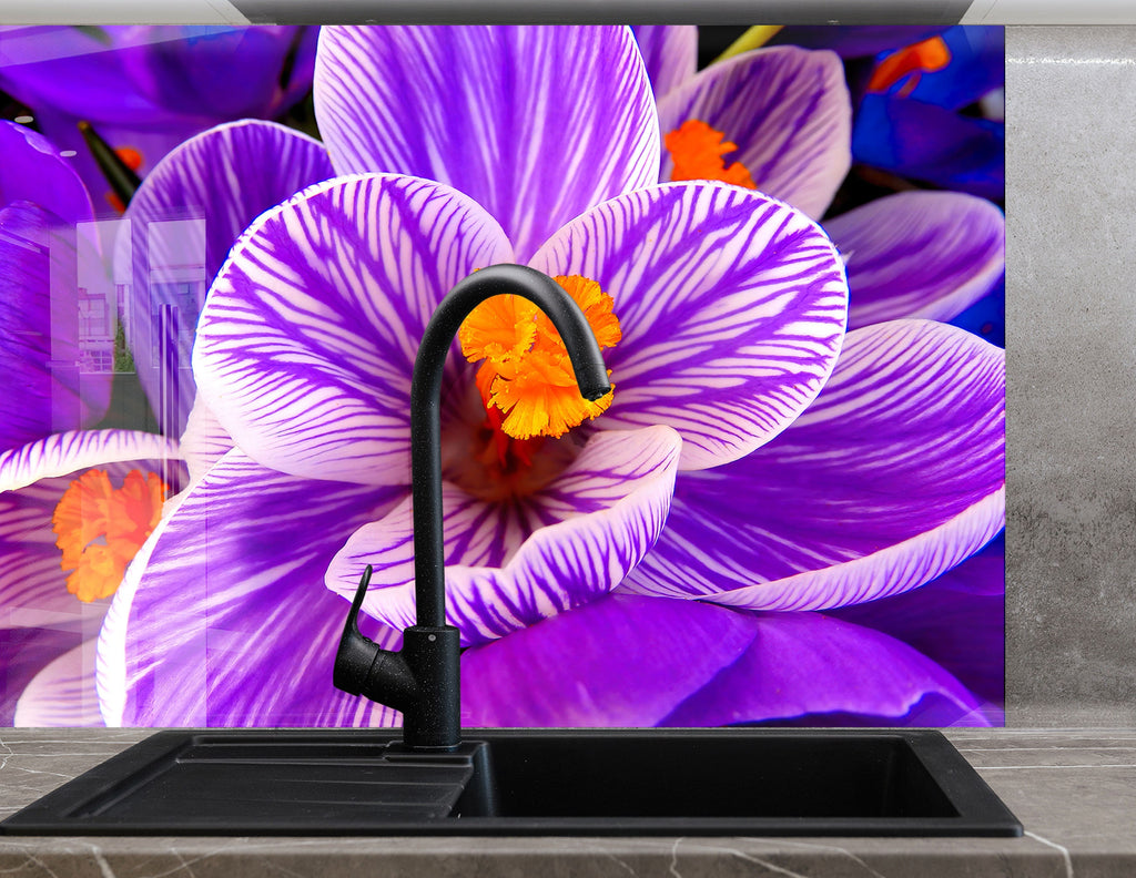 Crocus Vernus Tempered Glass Backsplash-BacksplashArtworks