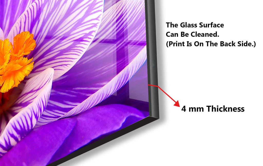 Crocus Vernus Tempered Glass Backsplash-BacksplashArtworks
