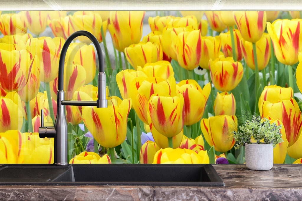 Roses Tempered Glass Backsplash-BacksplashArtworks