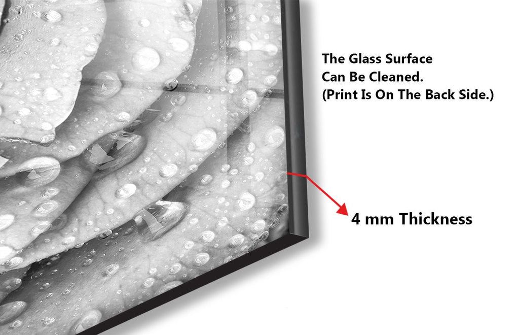 White Rose Tempered Glass Backsplash-BacksplashArtworks