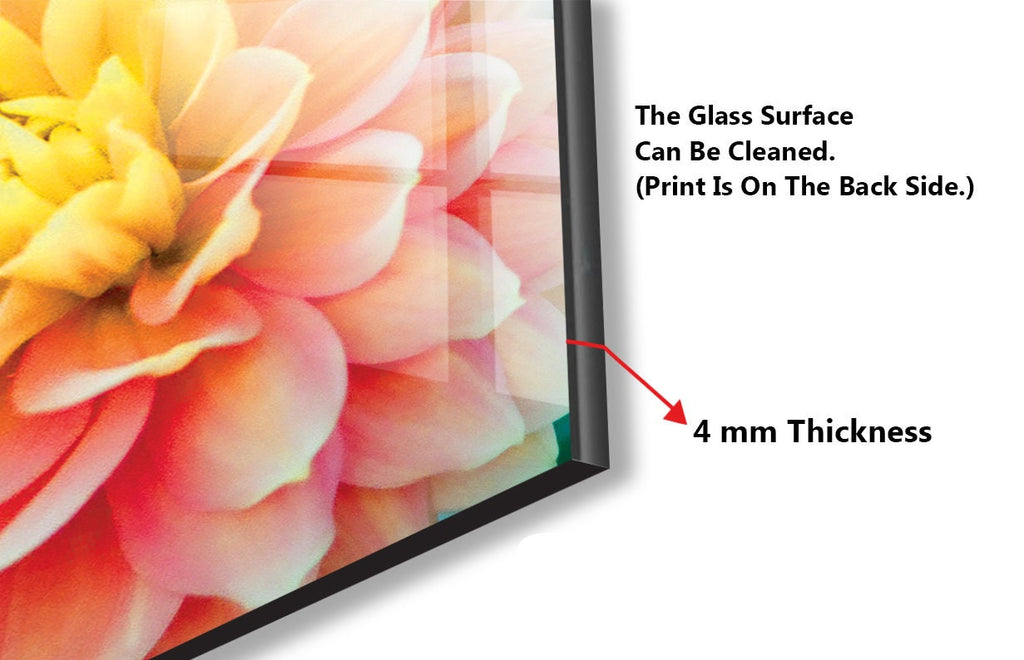 Pink Rose Tempered Glass Backsplash-BacksplashArtworks