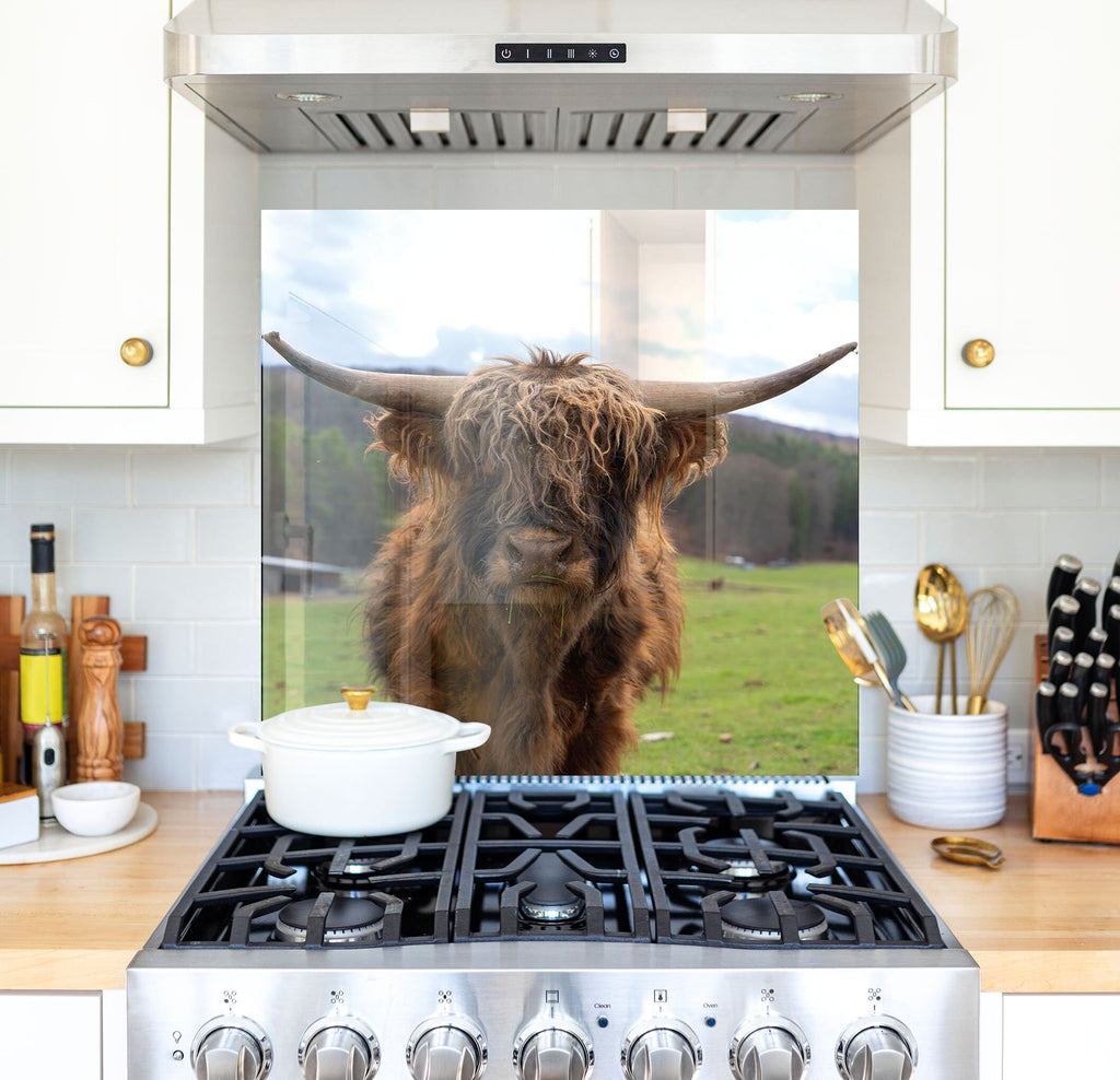 a cow with long horns standing in a kitchen