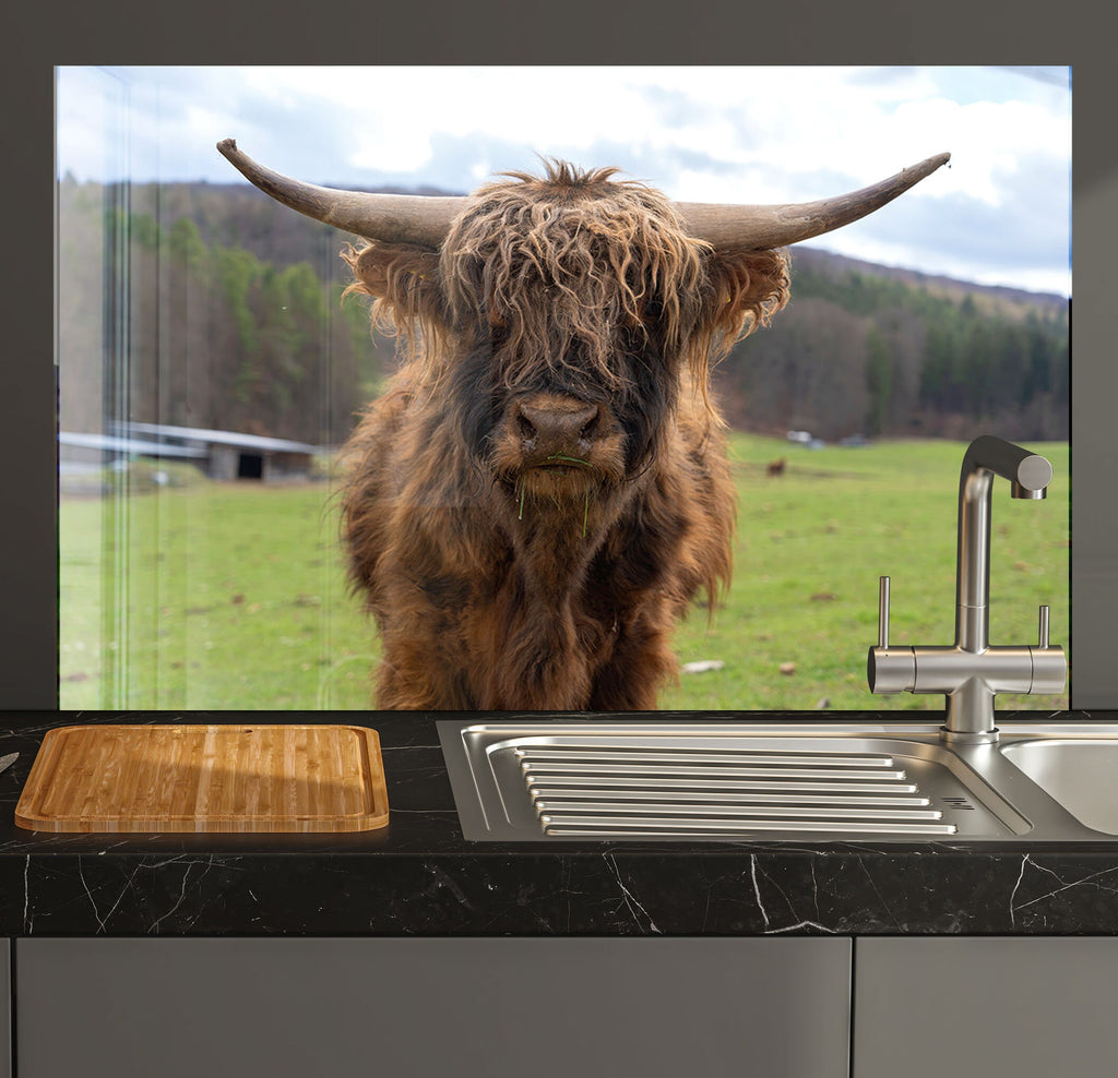 a cow standing in a kitchen next to a sink